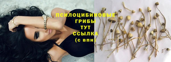 таблы Щёлкино